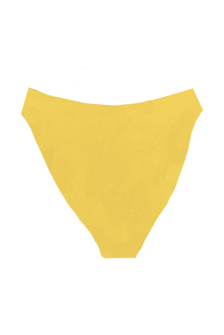 PALERMO High Waisted Bottom *FINAL SALE*